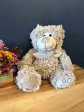 Load image into Gallery viewer, Teddy Bears
